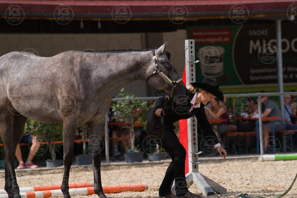 s_batch_A9_00071.jpg
